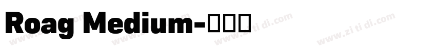 Roag Medium字体转换